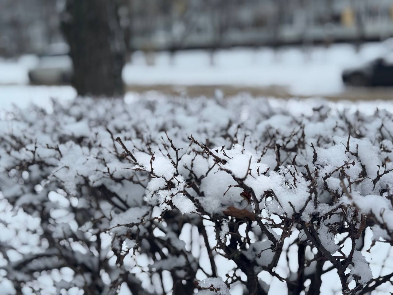 Доброе утро, Тольятти!. На календаре 4 января