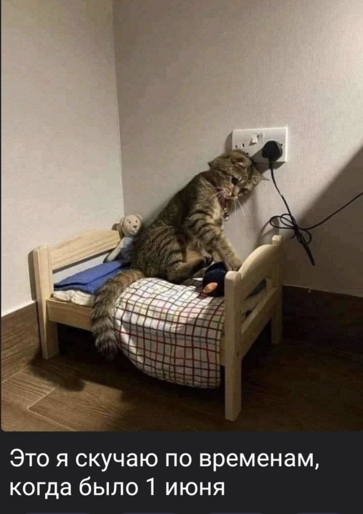 Чем заняться, когда за окном метёт? Сейчас расскажем