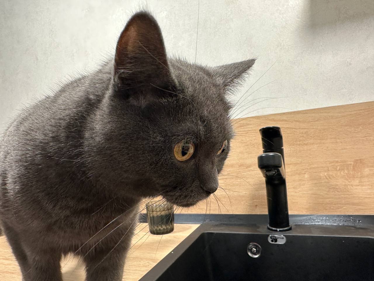 4 января в ряде домов Самары временно отключат холодную воду