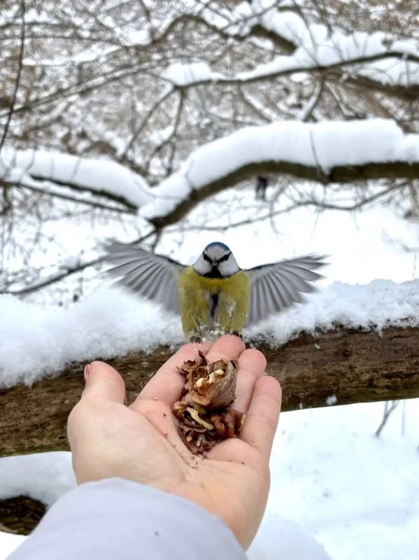 � ��� � ��� ������� �� ���� ?