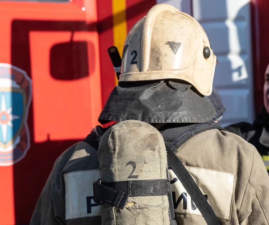 � �������� ����� �� �����