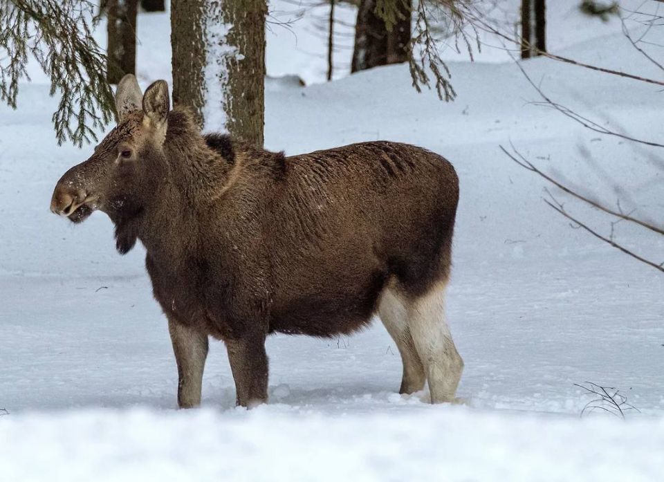 � ��������� ������� �������� ���������� �����, �� �������, ����� �� �������� �����