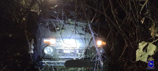 В Шенталинском районе полицейскими возбуждено уголовное дело в отношении мужчин, подозреваемых в незаконной охоте