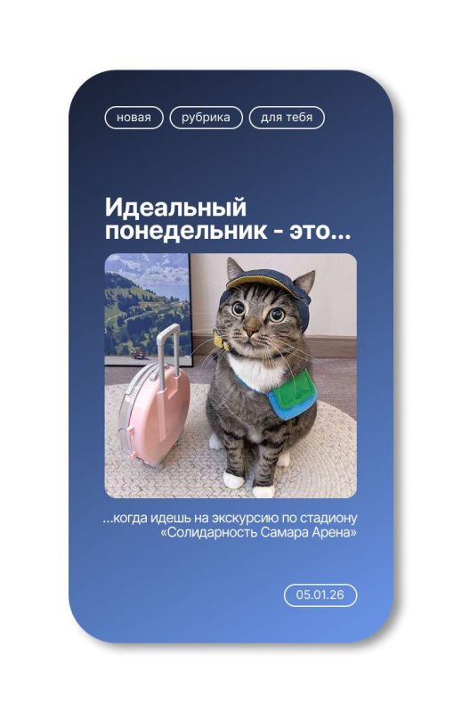 5 ������ | 11:00-14:00. ������������� ������ ����������� ��������� ���������� ������� �� ������ ���� �� ������