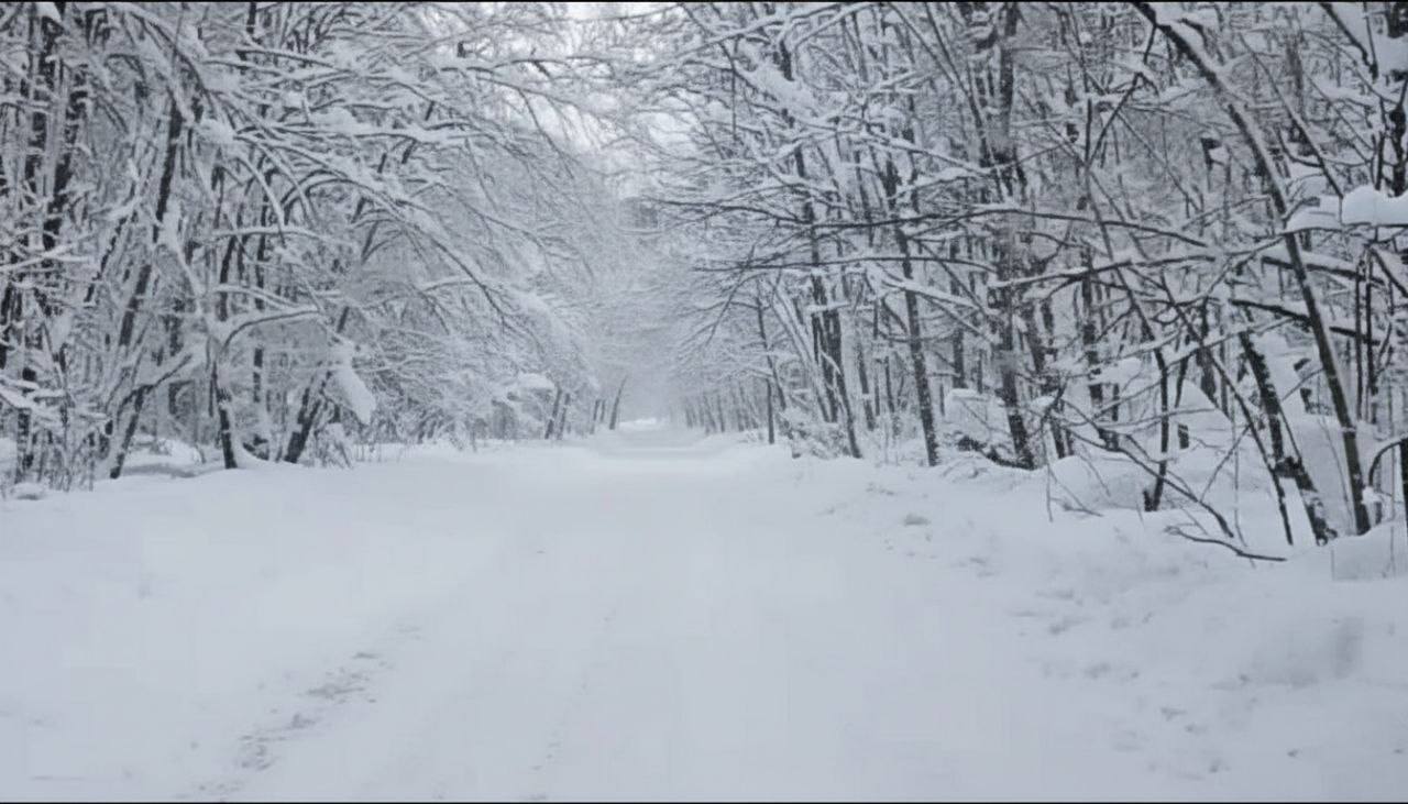 Завтра для автомобилистов откроется автозисник «Шелехметь – Белые домики» Завтра для автомобилистов откроется автозисник «Шелехметь – Белые домики»