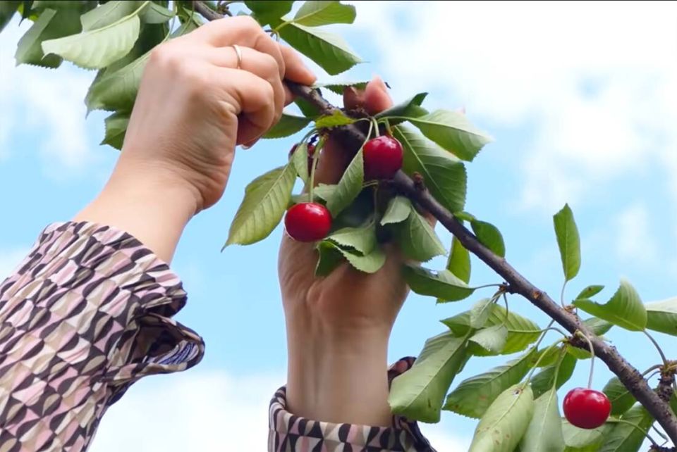 ��� �������� ����� � ������� �� ������� �����: ������� ��������� ������