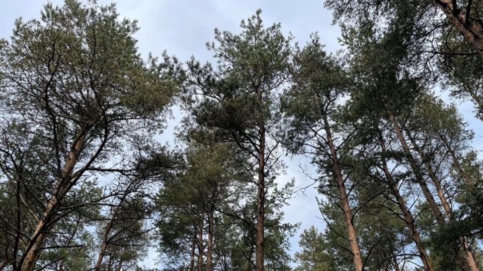 � ��������� ������� ������� �������� ��� � ������� �������