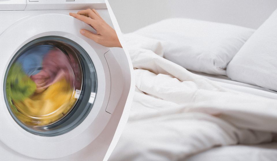 ���� ������ ������ � ���������� ������: 7 �����, ������� �������� � �������