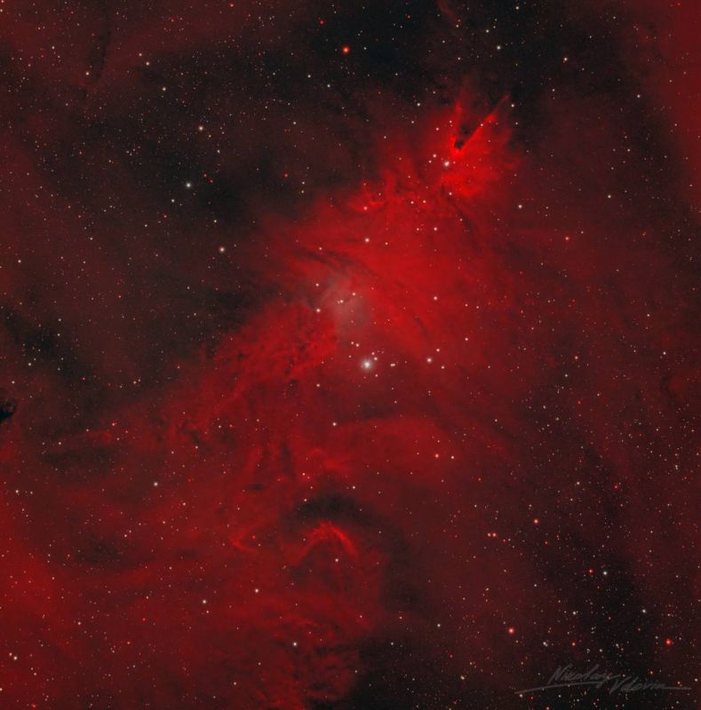 Госкорпорация "Роскосмос" в канун Рождества показала фото туманности "Рождественская елка"