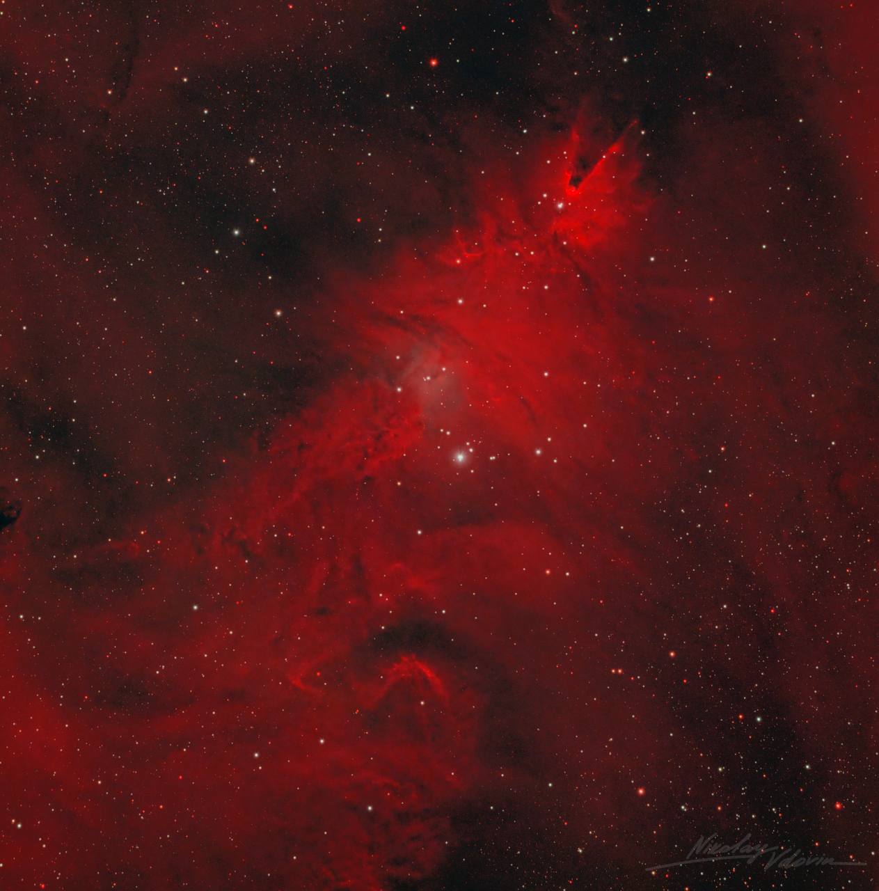 Госкорпорация "Роскосмос" в канун Рождества показала фото туманности "Рождественская елка"