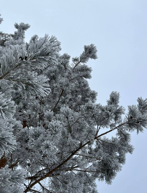 Доброе утро любимый город!