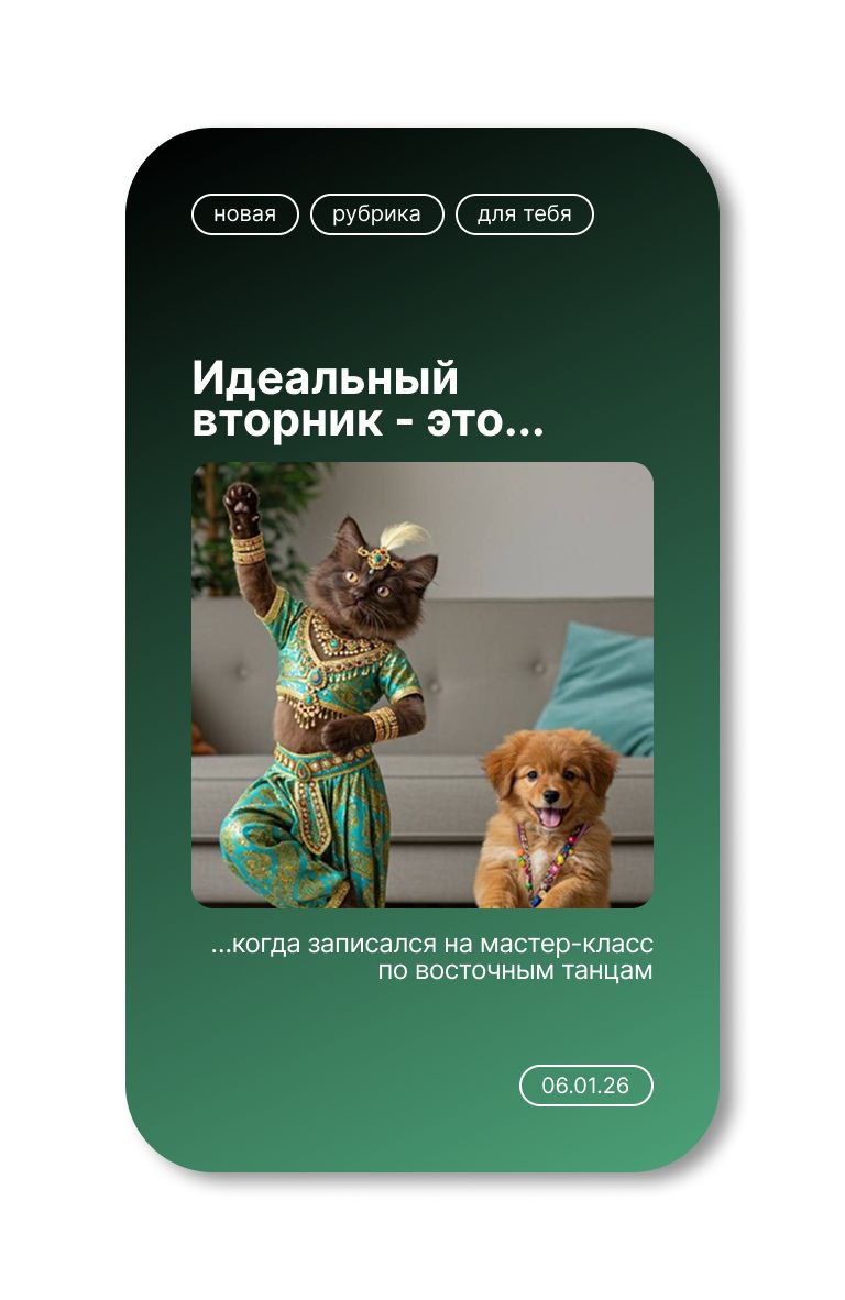 6 января | 11:00-12:00, 12:30-13:30