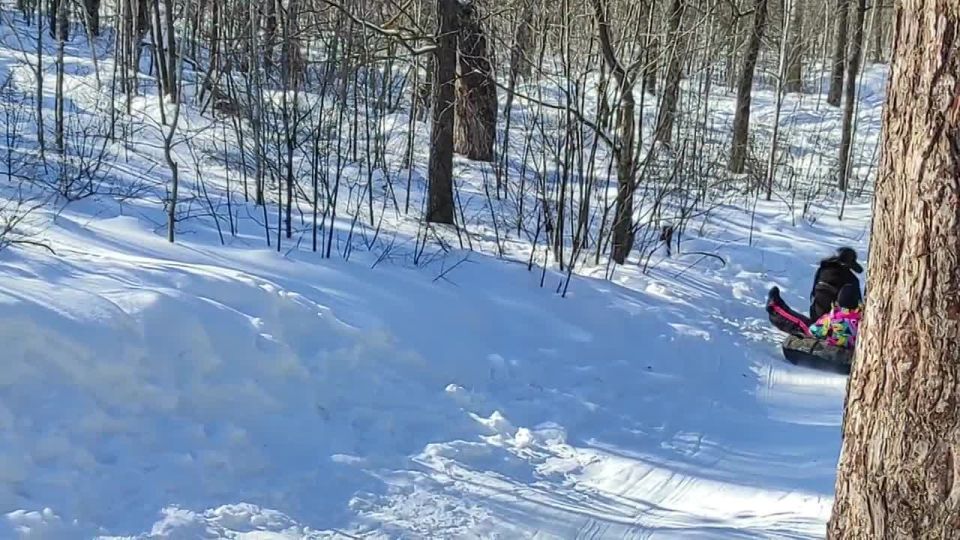 �� ����� ���������� ��������� ������