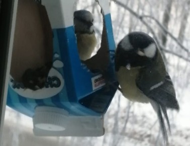 ������ ������ ����!. �������, 7 ������, �������� ����������� ������� -7...-3 �C. ��������� ������������ ��������� ������ � ������������, ������� ��������� ����