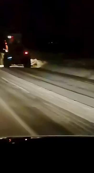 950 ���� ���������� ��������� ��� ������ � ����������� � �������