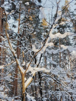 ������ ����, ������!. ������ ��������� ���! : �������� ����� ������ � �������