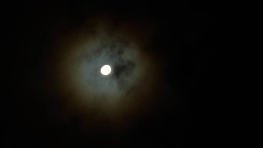 ������ ������������ ���� ������ � ������ ��� 9 ������