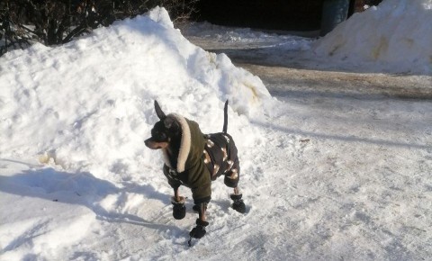 ���� ���� ������ �� � �������� �� ������ � �������, � ����� ������!