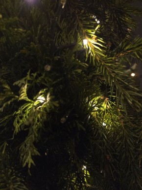 ��� ������������� ���������� ���� ����� ����������?