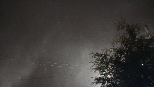 ������� ��������� ������� ����������� ���� ������������ �� �������