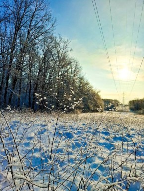 ������ ����, ������!. ������ �������� ���! : �������� ����� ������ � �������