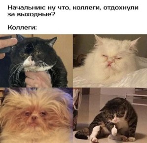 ���-5 �������, ��� ��������� � ������ ����� ���������� ��� �������