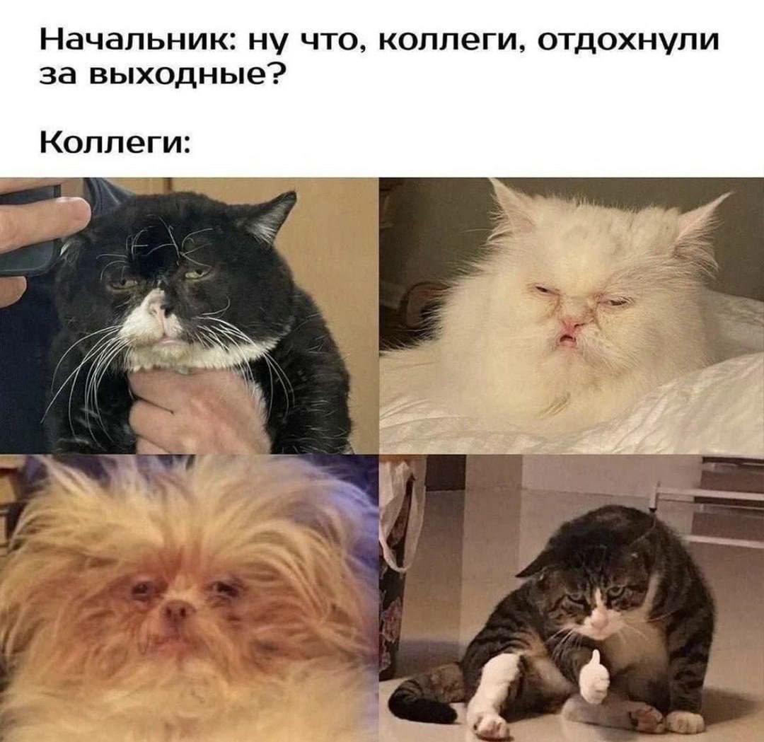 Топ-5 советов, как вернуться к работе после праздников без стресса