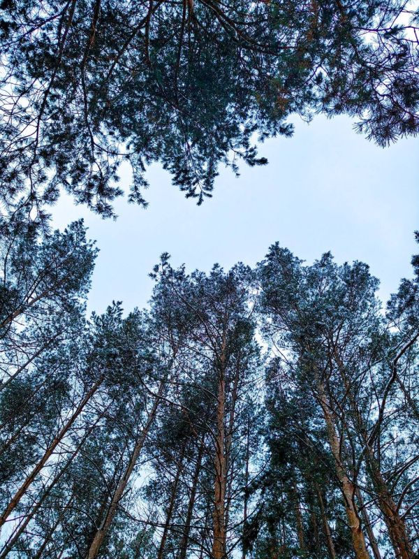 ������ ����, ������!. ����� ����������� ���� ����� �������� ���������� �������� ��������� �������������! : �������� ����� ������ � �������