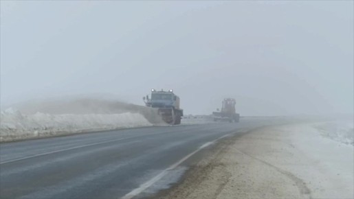 В семи районах области — снег и поземка
