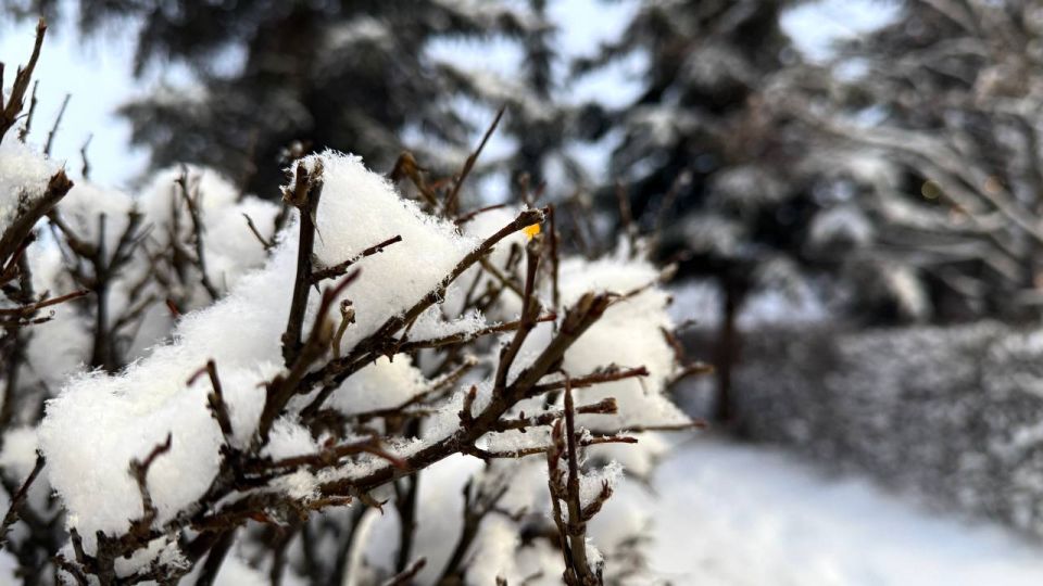 ������ ����!. 10 ������ �������� ����������� ������� -4...-6 �C ��������� ����������, ��������� ���� ����� ���-���������, ���������, 5...10 �/� ���� ������ MAX l�� l�� l����