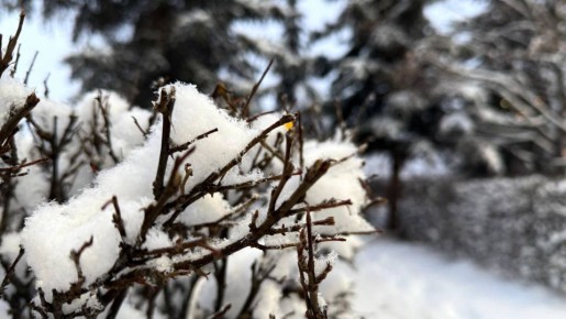 Доброе утро!. 10 января столбики термометров покажут -4...-6 °C Ожидается облачность, небольшой снег Ветер Юго-восточный, Восточный, 5...10 м/с ГТРК Самара MAX lВК lОК lСАЙТ