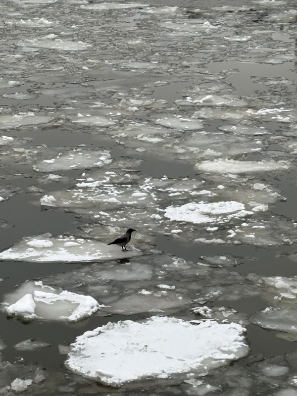 �� ��������� �������, 10 ������