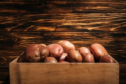 ��� ������ ������ ��������: ������� �������� ������