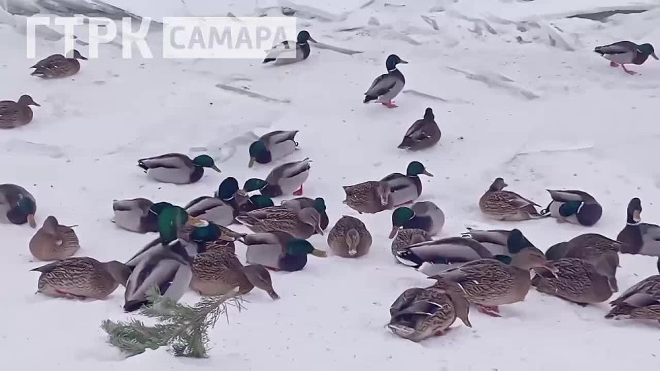 ���� ��������� ���������� ���������� � ����, �� ������������ ������ ����� �������� ����