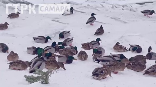 ���� ��������� ���������� ���������� � ����, �� ������������ ������ ����� �������� ����