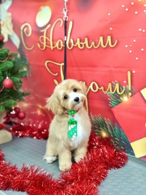 ��������� �������. ������� ������, ��� � ��� ����� ��������� � �������� ���� �����! : ����� ��������� �������� � ������������ ������������ ����� �������� ��������