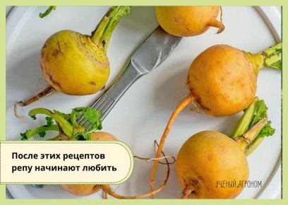 ��� �������� ����: 5 ������� ��������� ��� �������� �������������