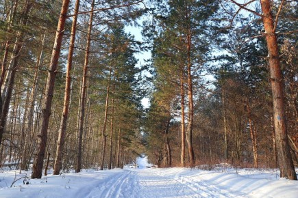 ������ ����, ������!. ����� �������� ���������� ������� ������� ������������� ����! : �������� ����� ������ � �������