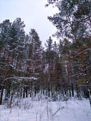 ������ ����, ������!. ����� ���� ����� �������� �������������� ��������! : �������� ����� ������ � �������