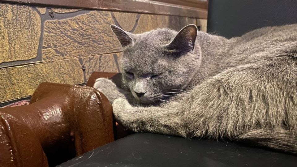 �������� ����������, ��� ��������� � ��������� ��� ����� ���������� ����������