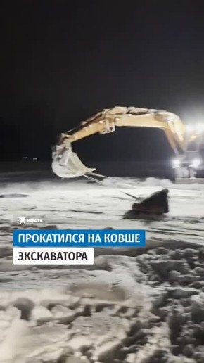 �� ���������! ������ ��� �����!