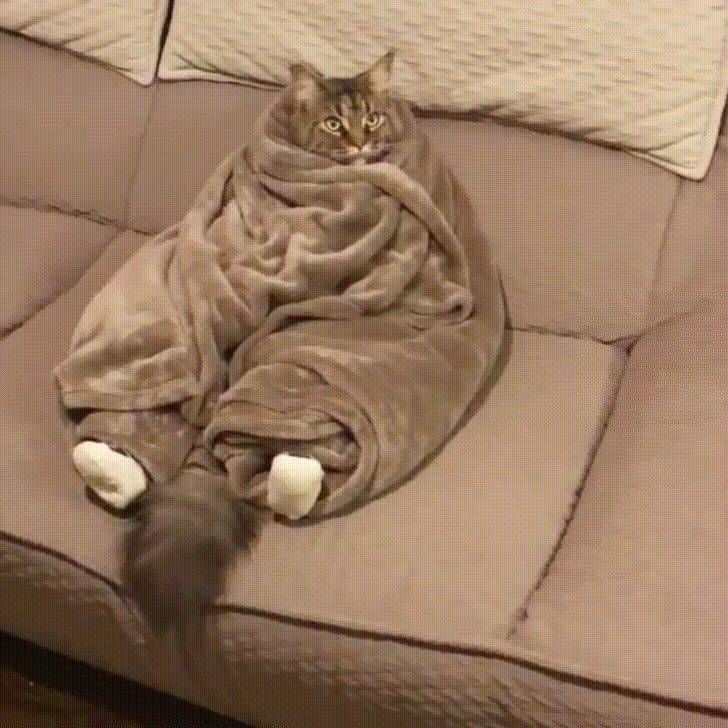 ������ � -25 �������� � ������ ��� � ��� ��������