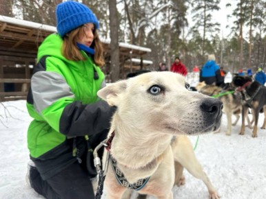 � ��������� ������� ������ ������ ����������� ������ �� ������� �������