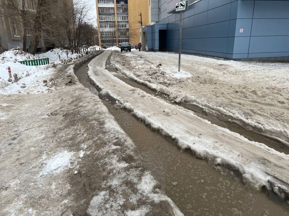 ������� ������������ �� ��������� ������ �� ����� �� ������ �������� ������ 393