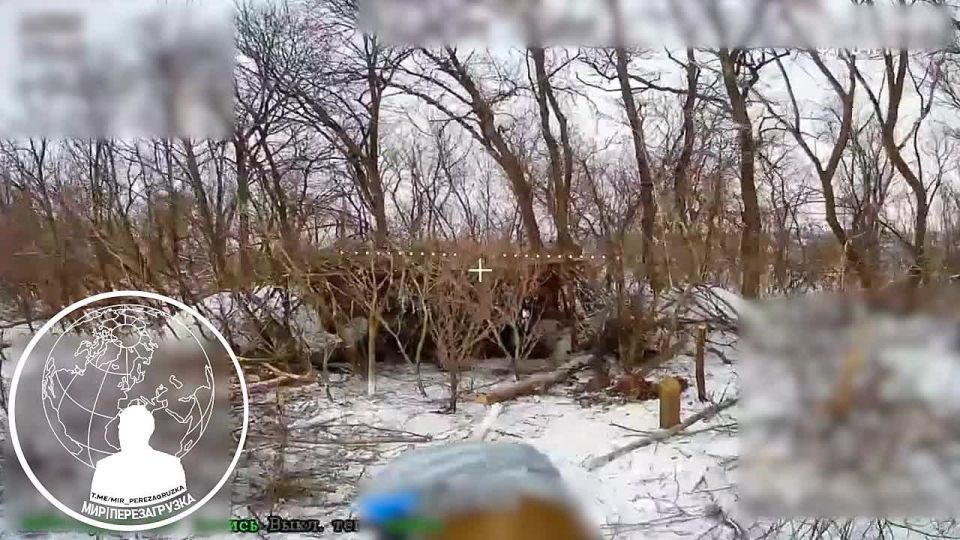 ��������������� ��� ������ �����