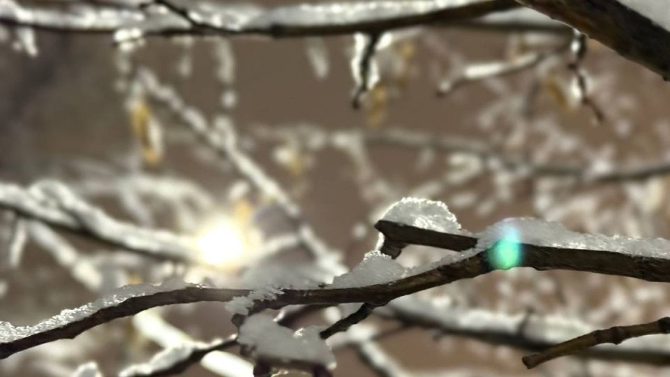 ������ ������� �������� ��������� �������� 13 ������ � ��������� �������