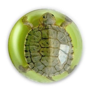 Виталий Милонов: Это победа - и она принципиальная