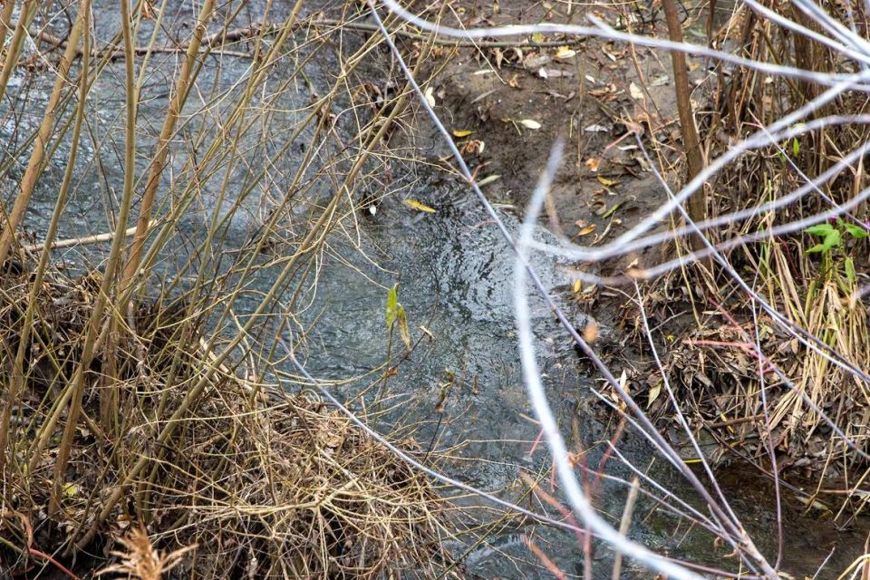 � ������ ������ ����� �� ��-�� ������� ������� ���