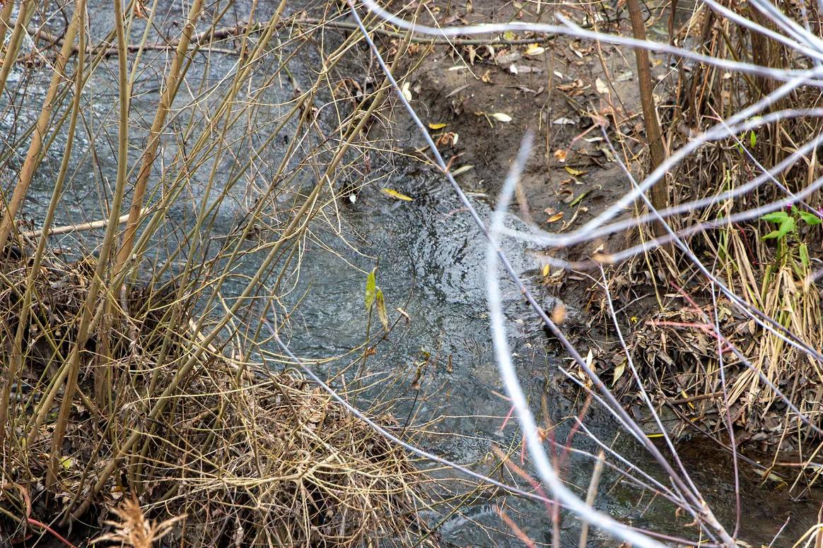 В Кинеле введен режим ЧС из-за разлива сточных вод