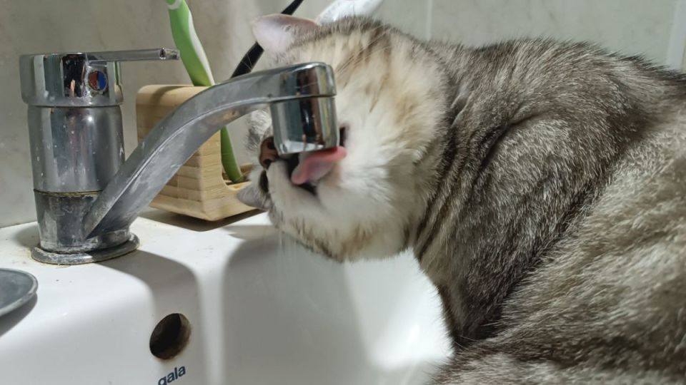 9 ���� � ������ �������� ��������� ��� �������� ���� 14 ������